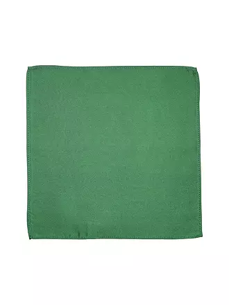 SEIDENFALTER | Pochette de costume | grün